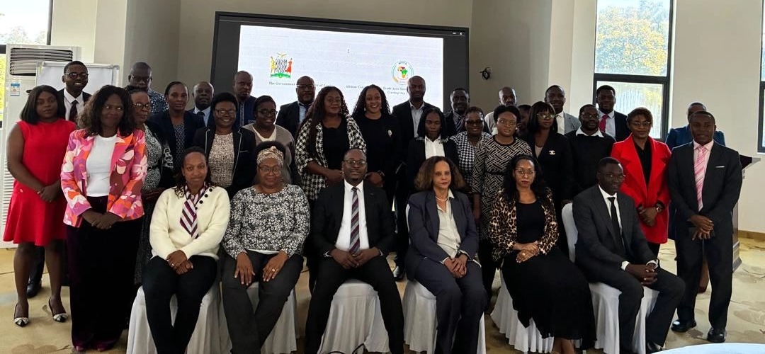 Zambia Hosts Expert Group Meeting Under the AfCFTA Implementation Review Mechanism